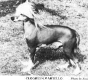 Clogheen Martello