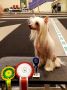 Impossible Is Possible Magma Chinese Crested