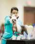 Dasha's Juan In A Million AOM Chinese Crested