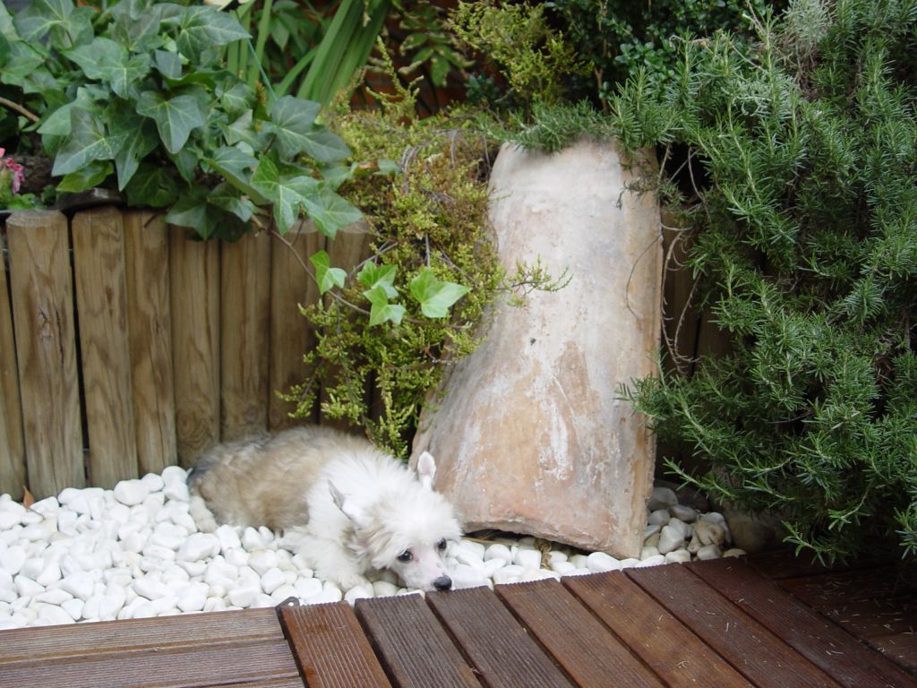 Otoño de Mendoza de Eldacan