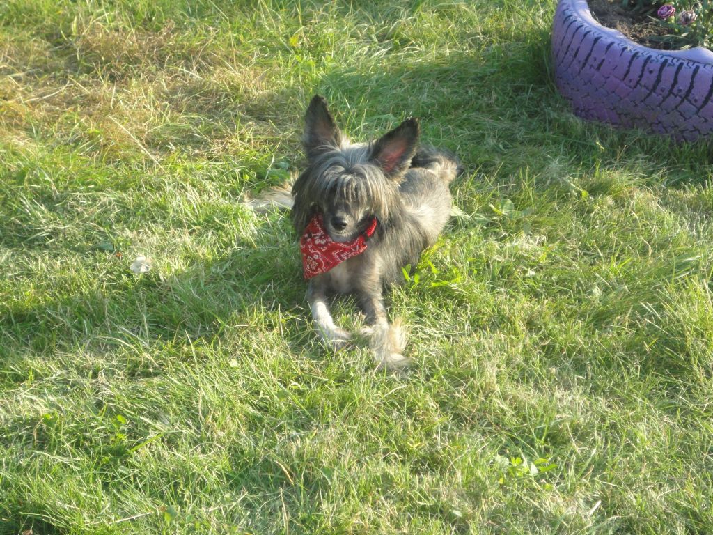 Victoria Ledi Breeze 