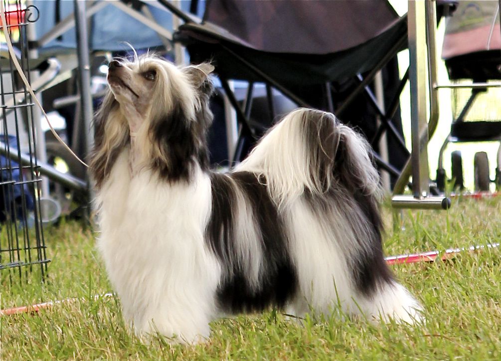 Emporio Armani Gattaca