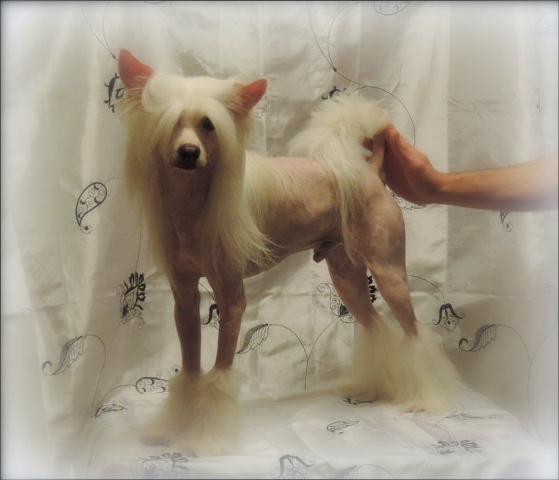 Guerlain Du Coeur Des Tenebres