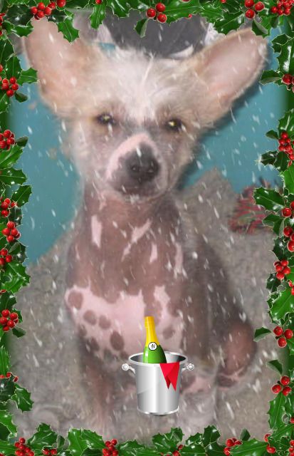 Emei-Shan Bahco du Soleil Levant de Lastrèche