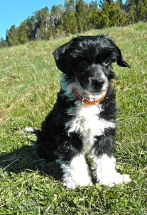 Yavin Yadunath Avrina