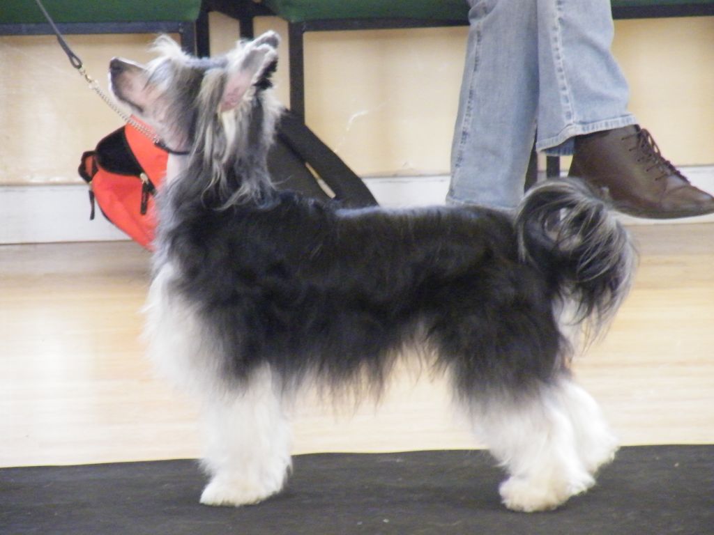 Konishiki It Ain't Over