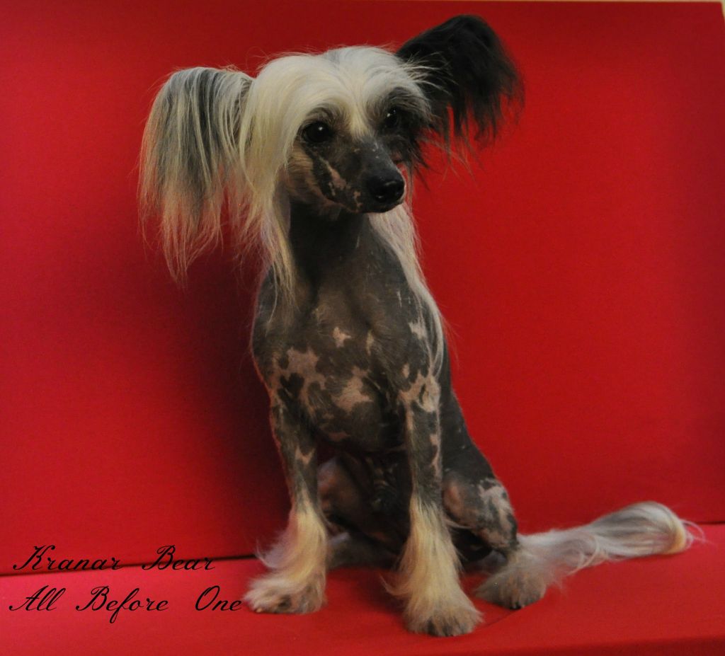 Kranar Bear All Before One