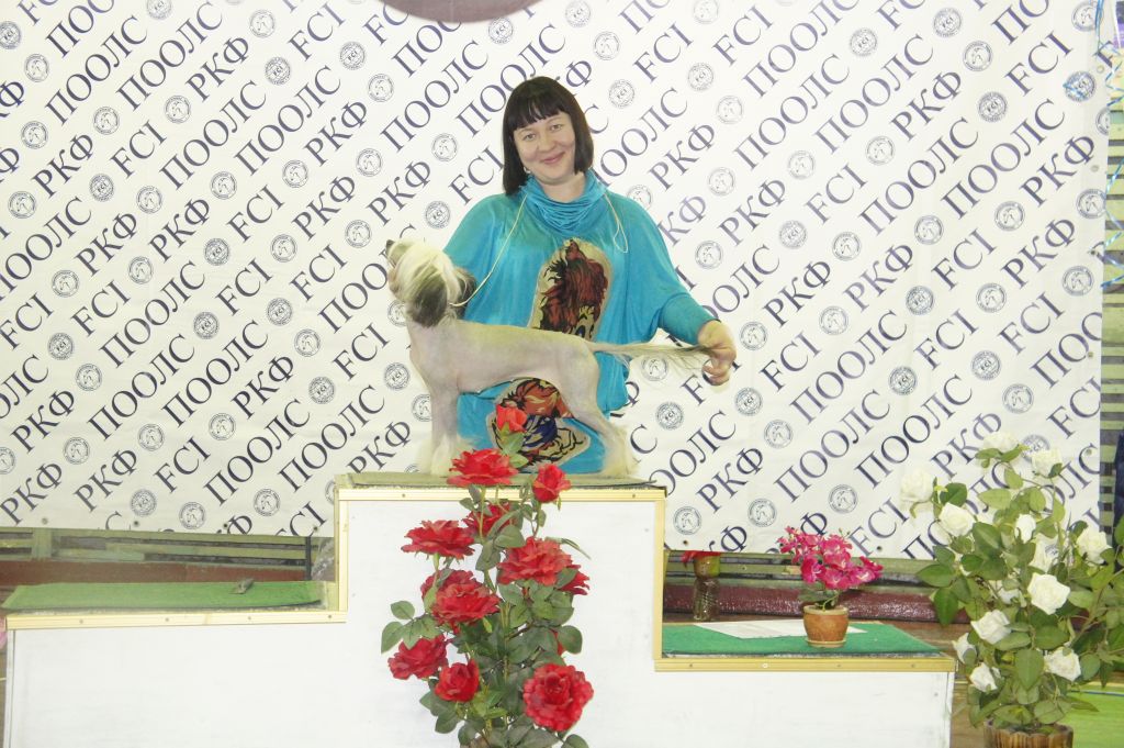 Rovanni Djekattolo Fiona Rosso