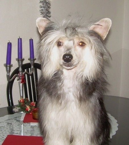 Caryban Fire Milfra-Moravia