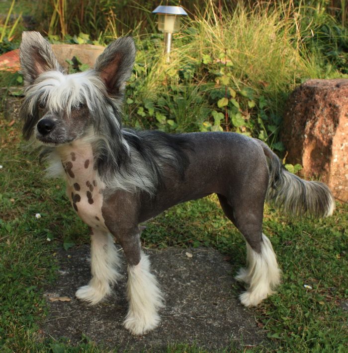 Beauty Bliss Gintaro Magija