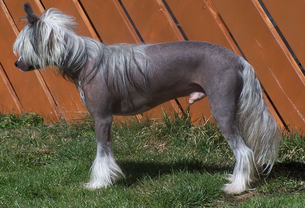 Bruno Banani Gintaro Magija