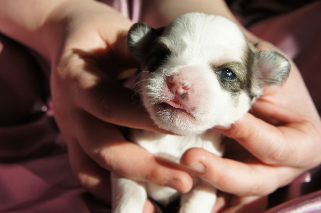 Ledi Small  In  Astral Way