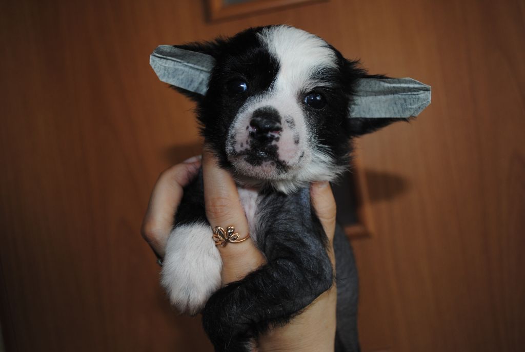 Grand Sunlife Zanzibar