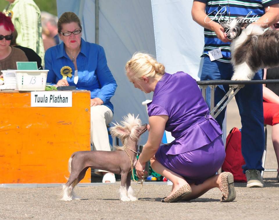 Royalette's Betty Boop