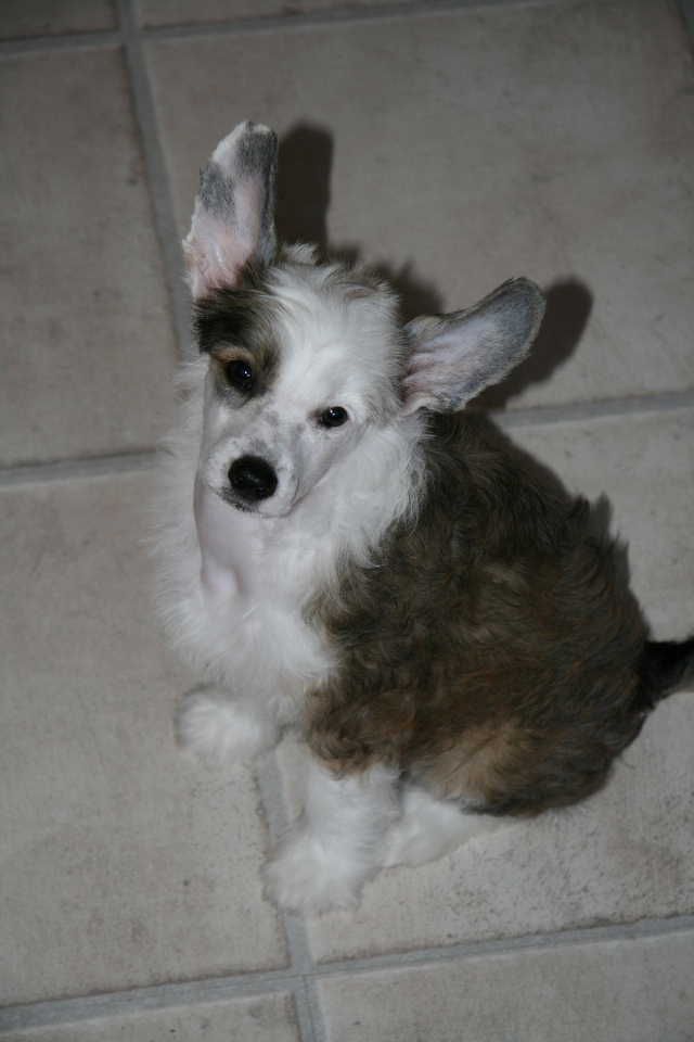 Ridgecrest's Worth To Se