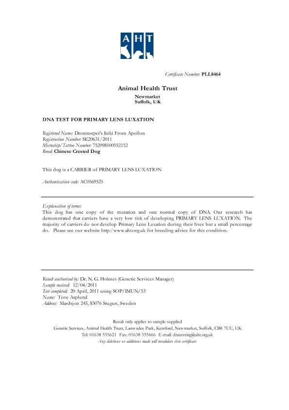 Drömtorpet's Iniki from Apollon