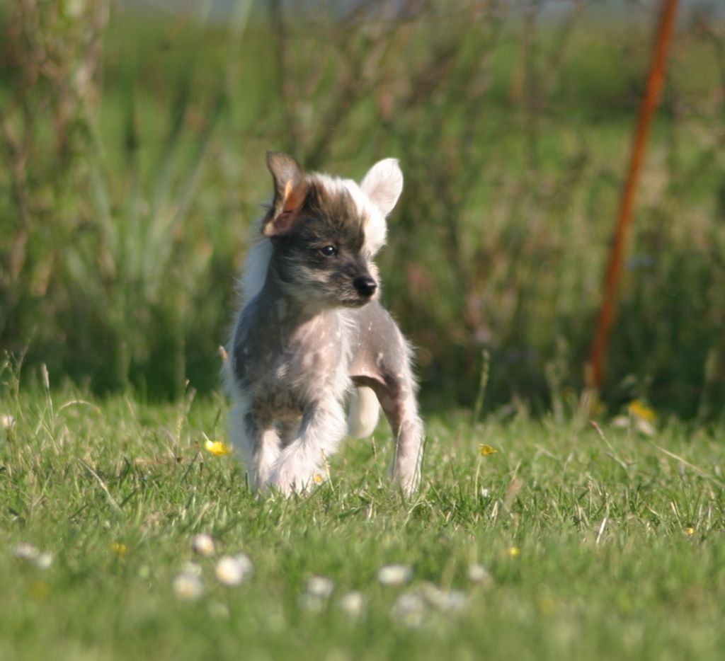 Happy Dancing Mamma Mia