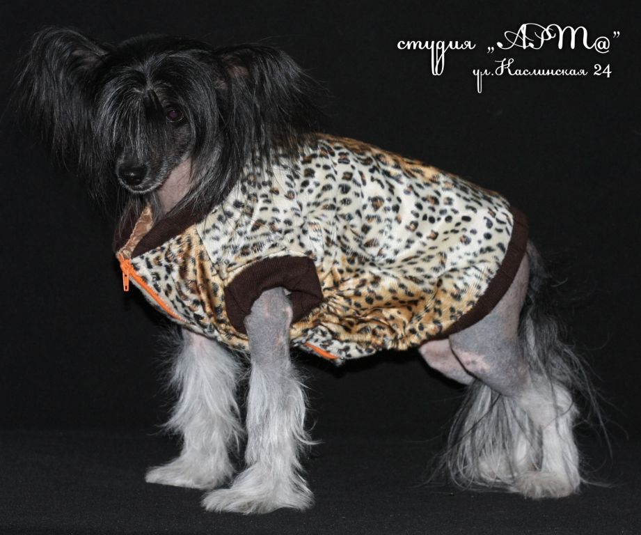 Sandaski Upoitl'nii Flirt