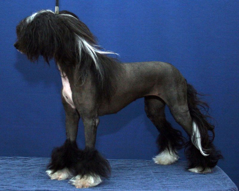 Dare to be Absolutely Fabulous