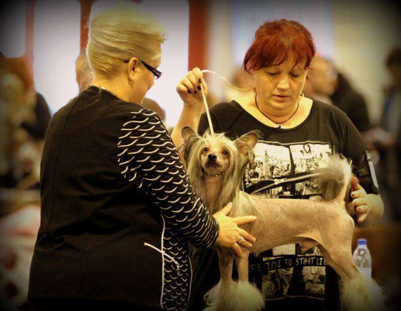 Sun-Hee's Dimple Pinch