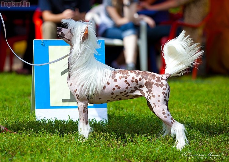 My Vanity Fair Graffiti