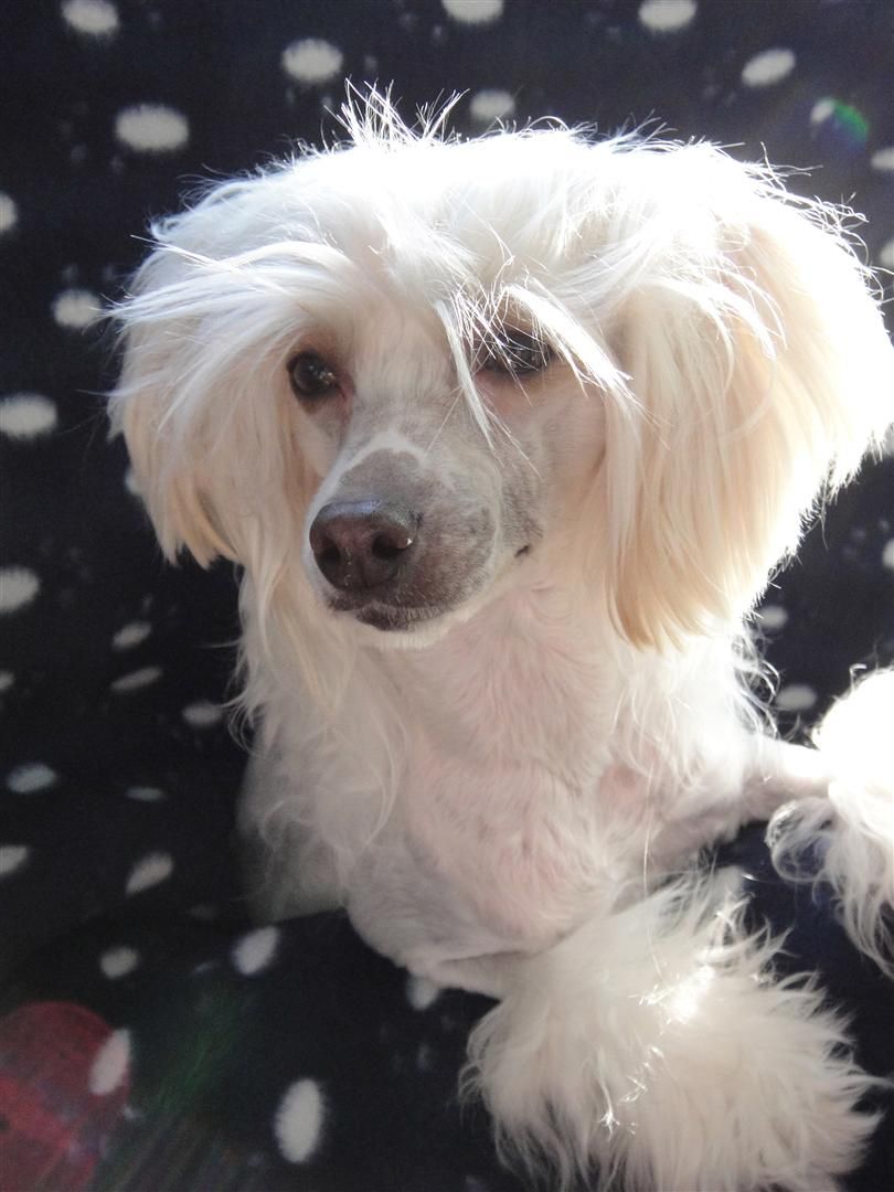 Mewtwo's Beatyful In My Eyes