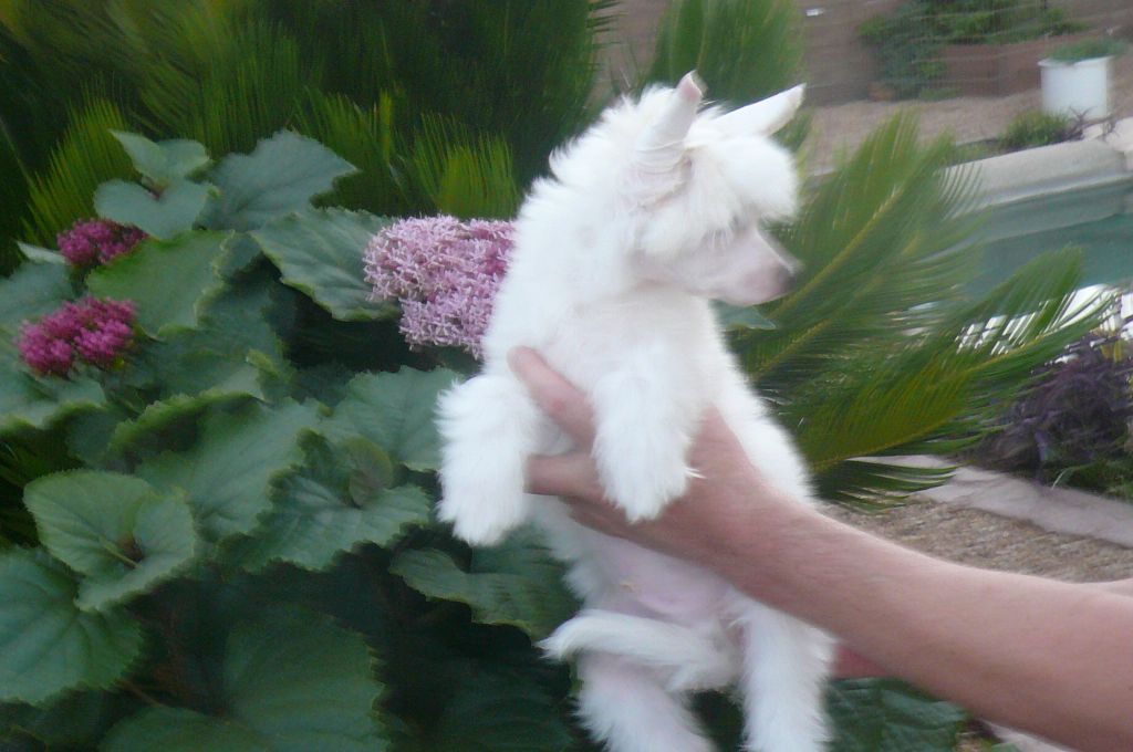 Nina's K Frosting On A Cake