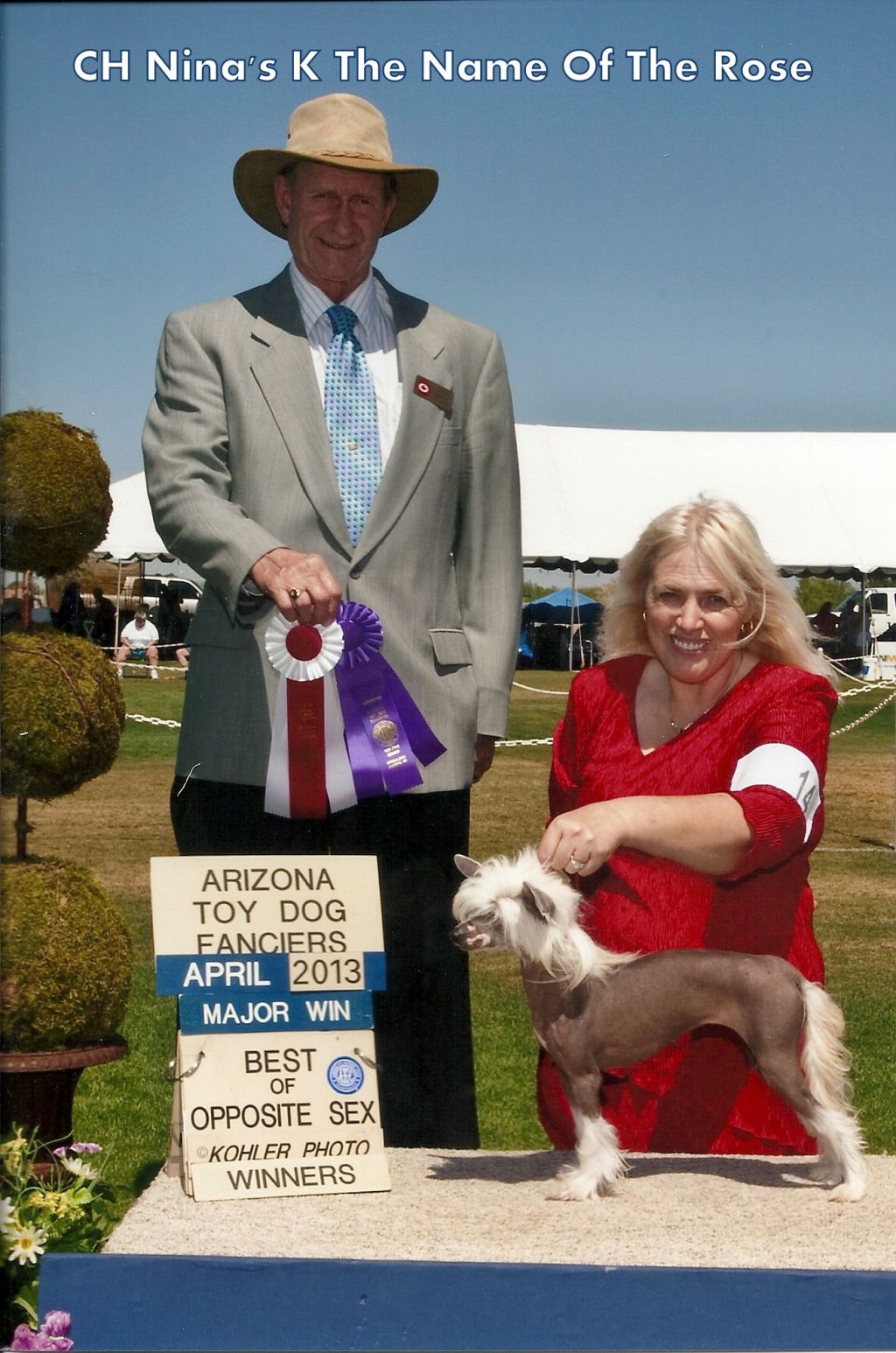 Nina's K The Name Of The Rose