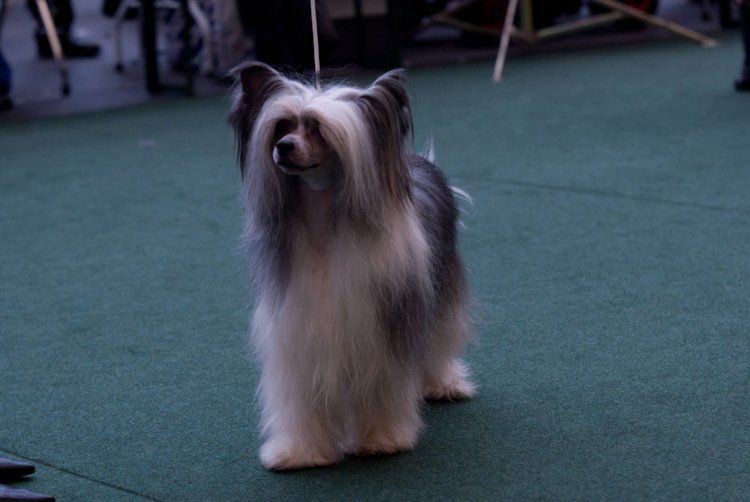 Hugo Boss Di Casa Romano