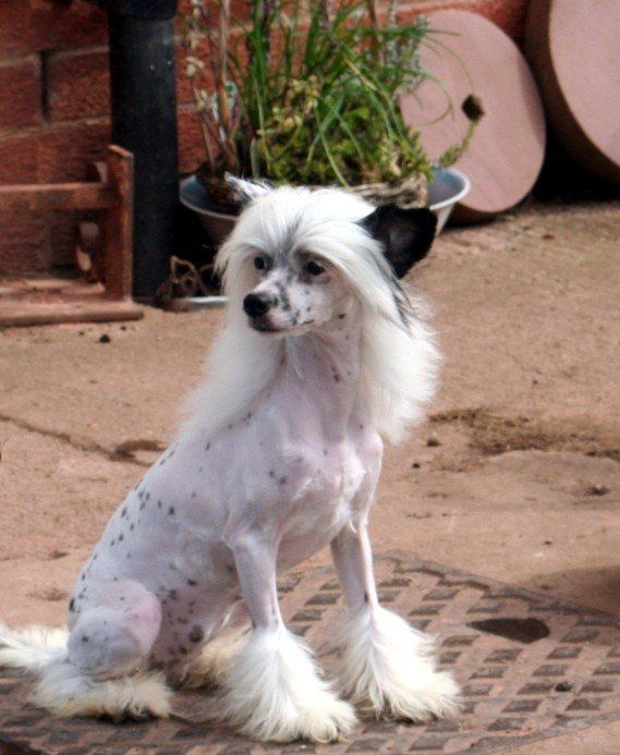 liddyleaze carbon lady