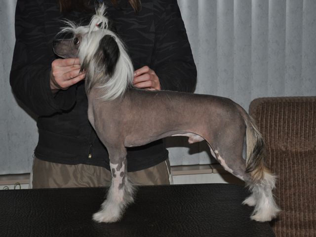 Lykaios Watch And Learn