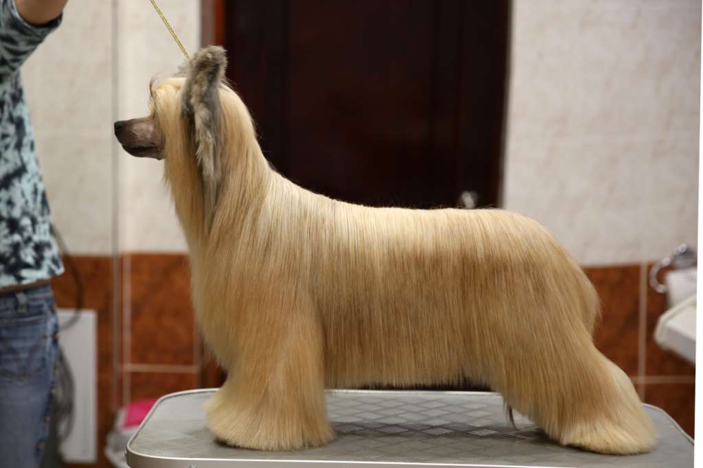 Incanto Del Mondo Afina