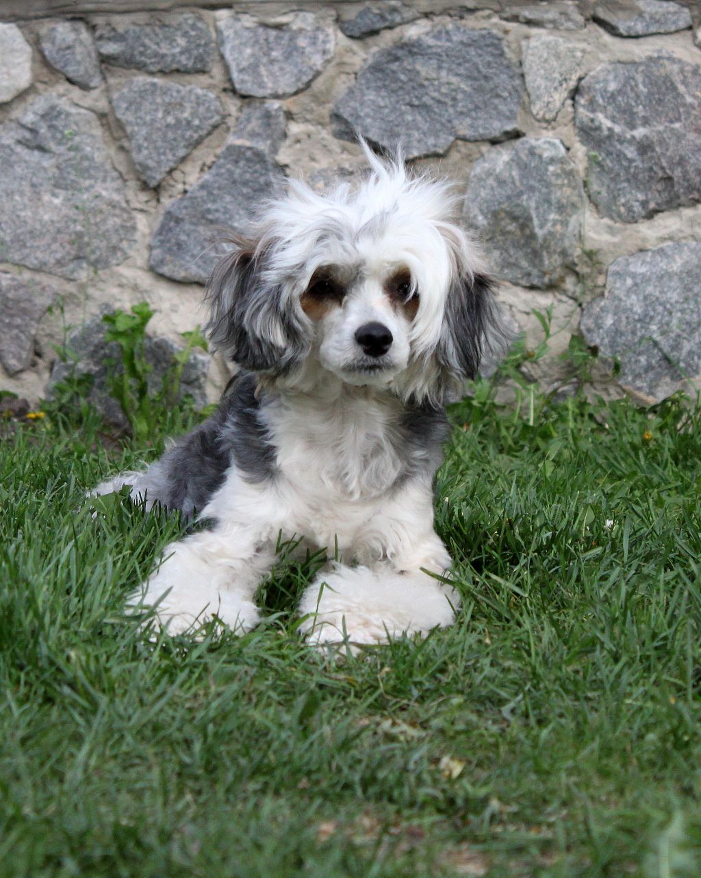 Nensi Universe of Love.