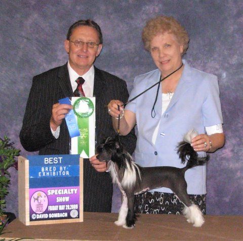 M.t.o. La Reina Del Baile