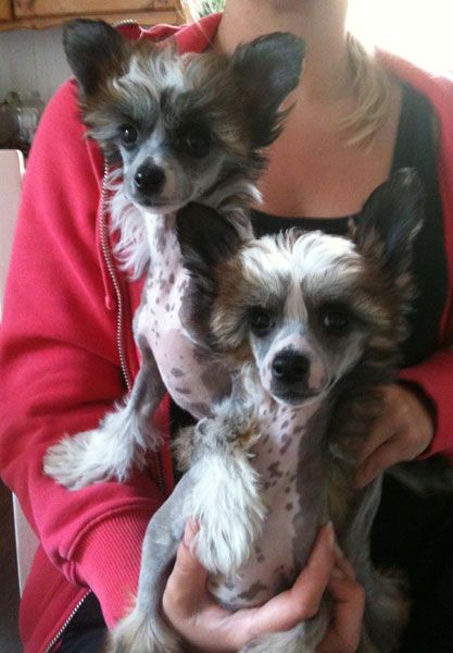 Beauty of XLNZ Four Hope n Glory