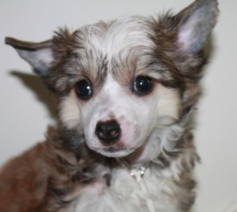 Believe in Magic Kado Kitaiski Potselui