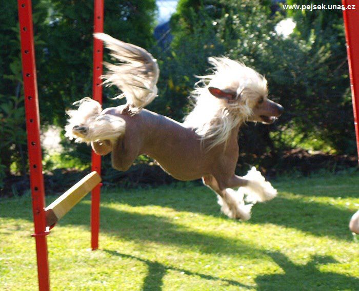 Clezel's Character Actor