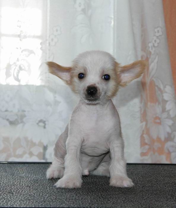 Alfa Laval Weekend With You