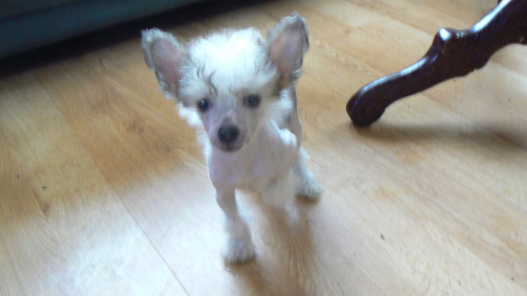  Pariansoez Bang tidy 