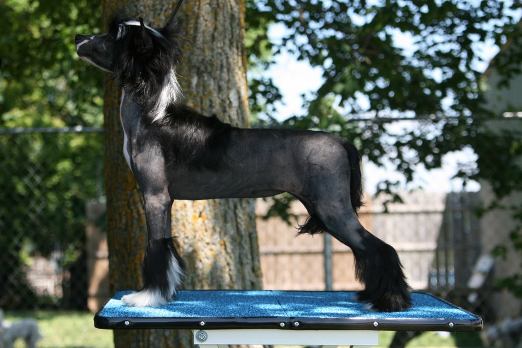 Daretobebare Hot & Dangerous