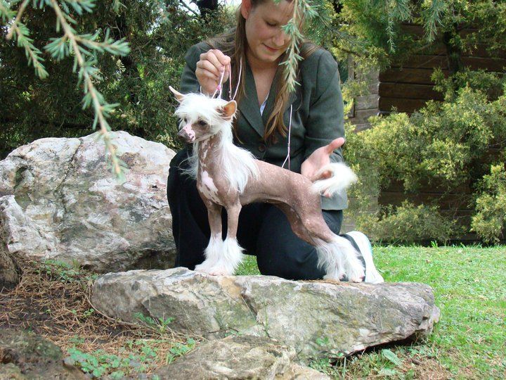 Patagonia Ranch Sasha