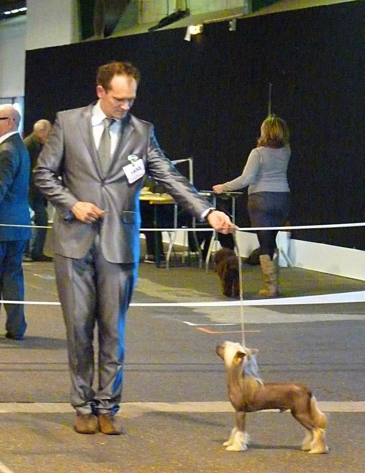 Sasquehanna Dobrotek (FCI)