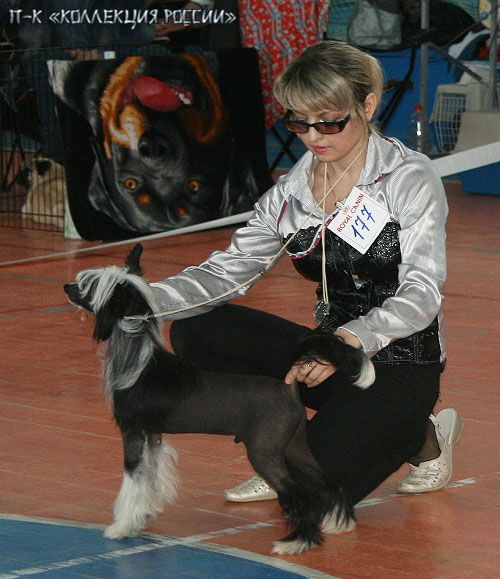 Irgen Gold Philipp Morris