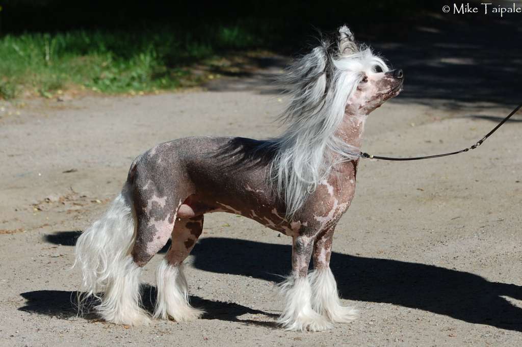 Maybell's Just Call My Name