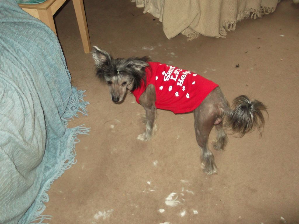 Zerachiel Hot or Wot