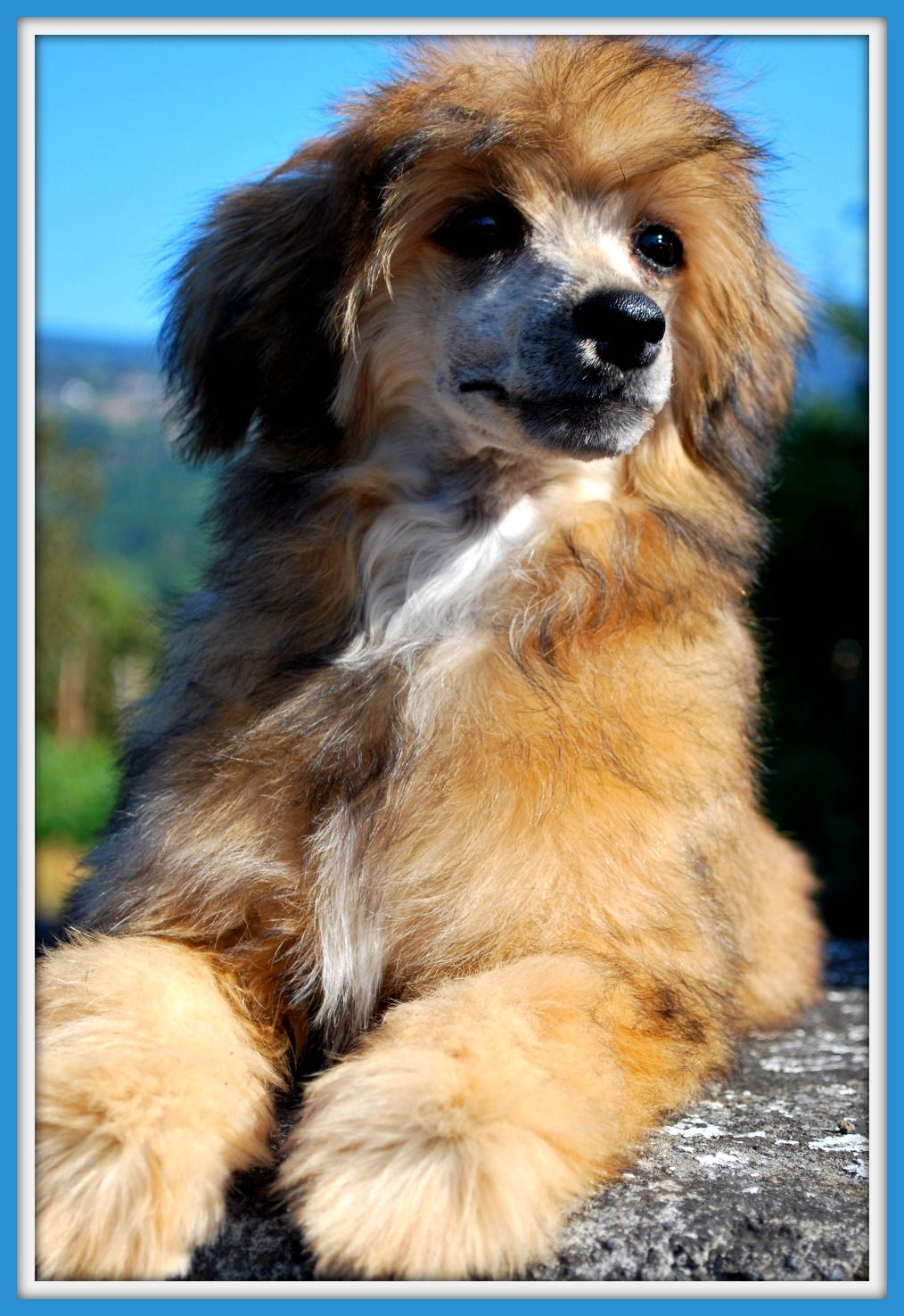 Aretxagako Ametsa Butron