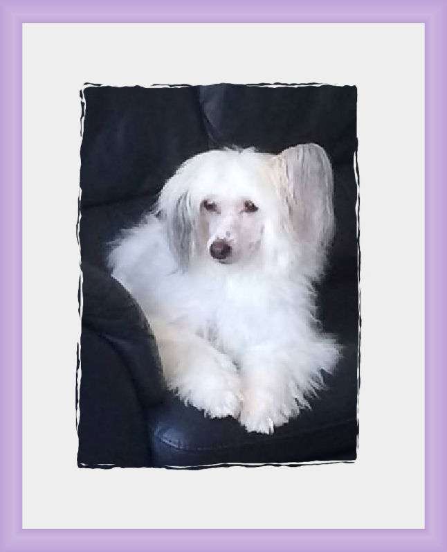 Emerson Little Charmings