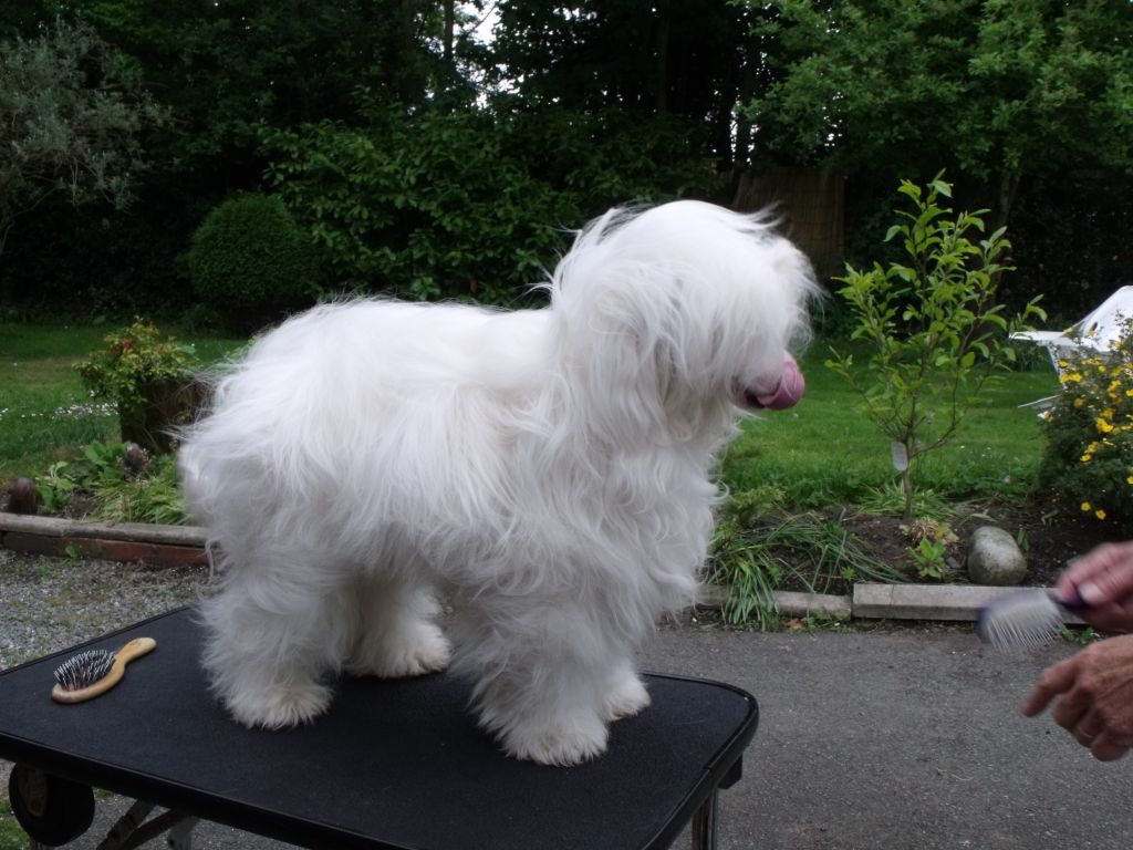 Zucci's Fire And Ice With Jayanamee