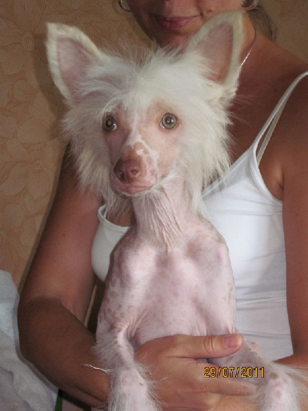 Gloria so pretty de Fageiro