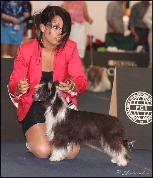 arowen de los jumichatos